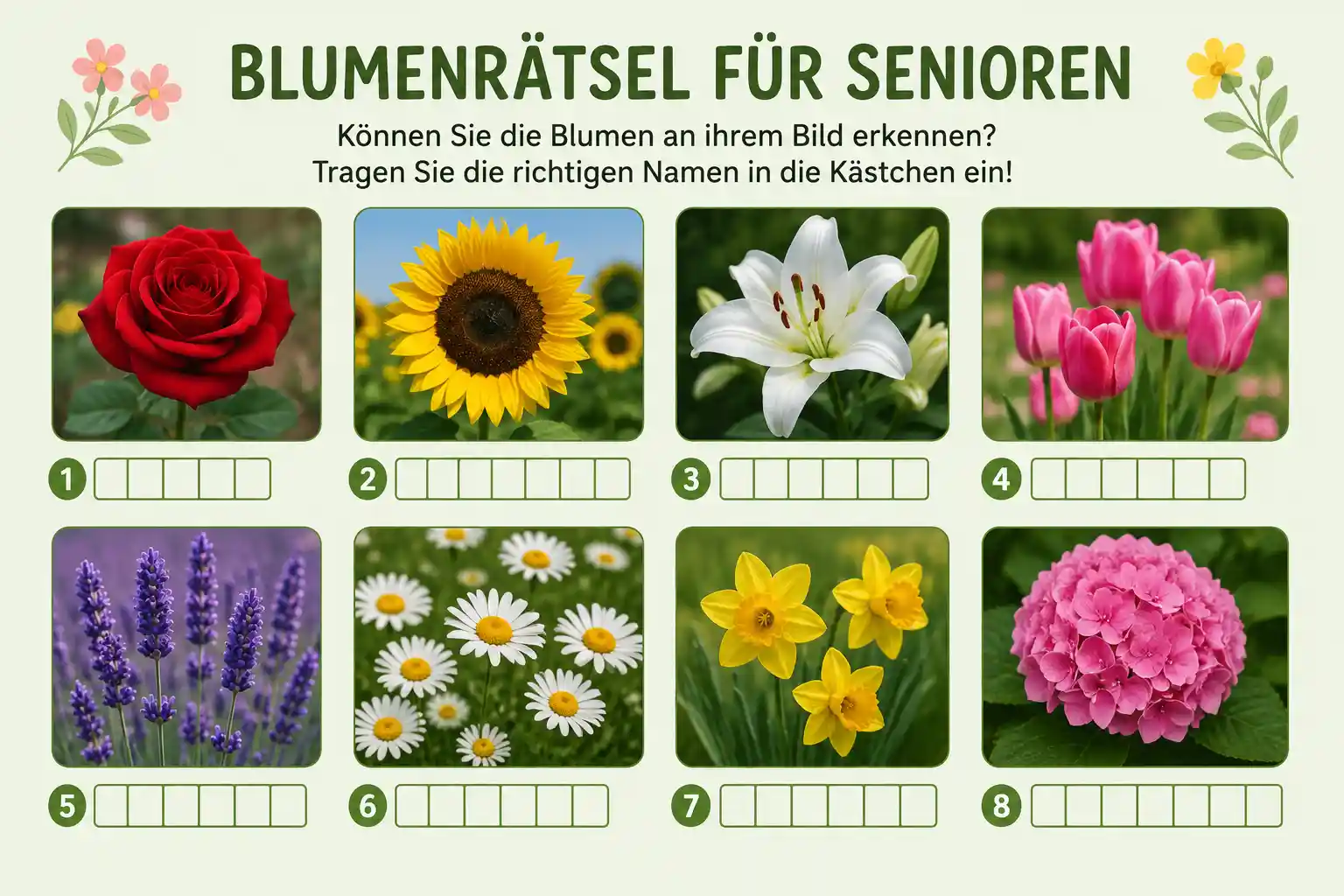 Blumenrätsel für Senioren mit bunten Blumen, Rätselkarten und gemütlicher Seniorengruppe